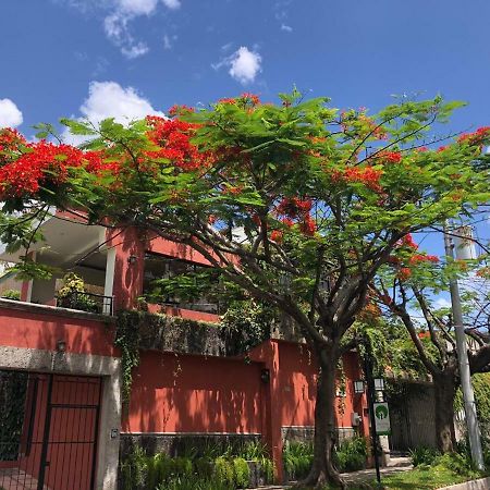Hotel Arbol De Fuego Сан Салвадор Екстериор снимка