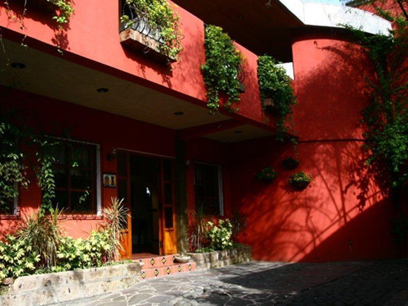 Hotel Arbol De Fuego Сан Салвадор Екстериор снимка