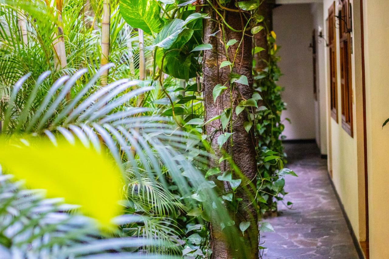 Hotel Arbol De Fuego Сан Салвадор Екстериор снимка